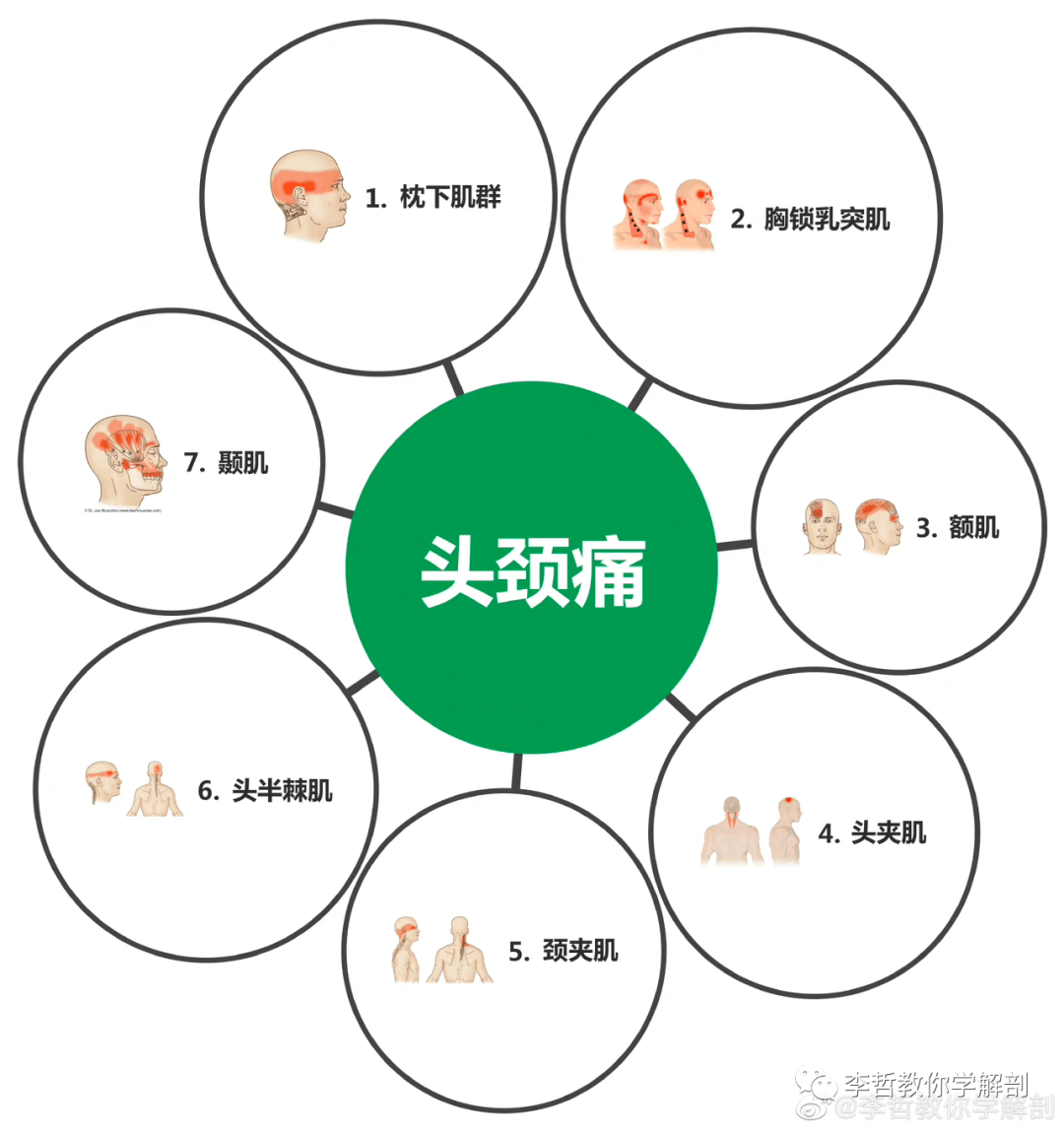 最新疫情症状概览，头痛是否包含在内？