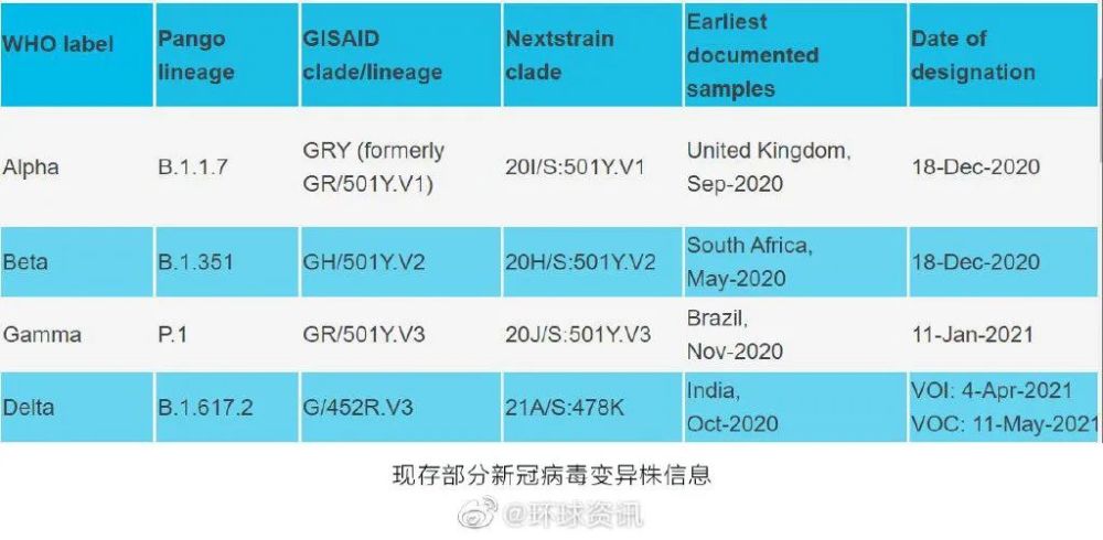 疫情期间病毒名字及其影响概述