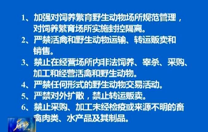 全球疫情挑战，病毒疫情及应对策略