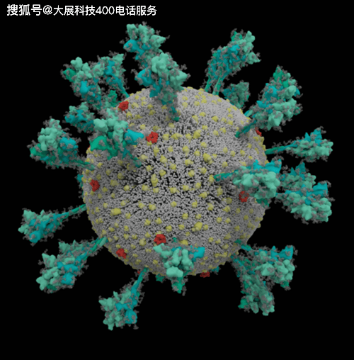 揭秘新冠病毒变异株，探寻疫情背后的真相（2021年）