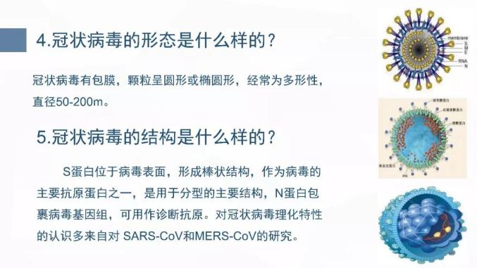 新型冠状病毒，全球挑战与应对策略探究
