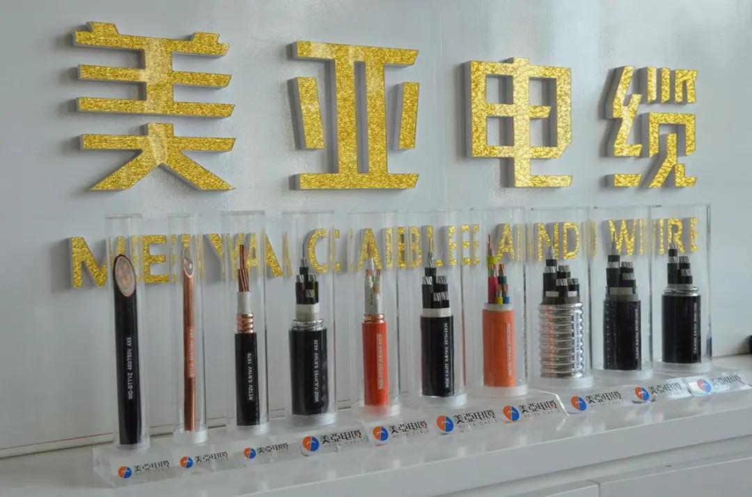疫情病毒全称解析及其对社会的影响
