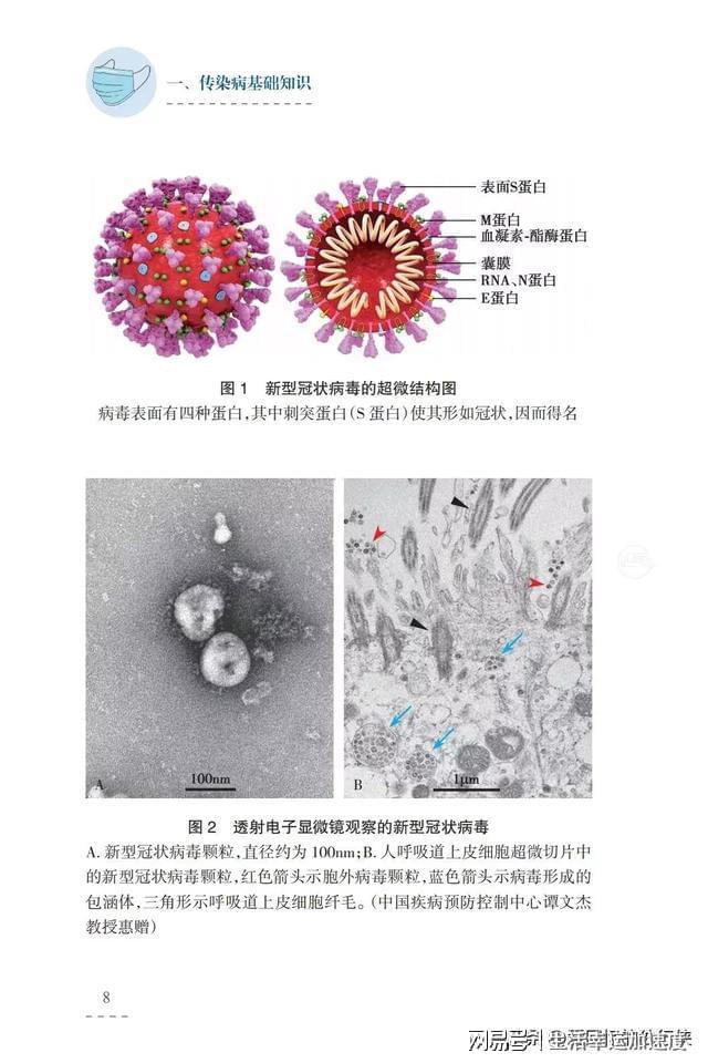 揭秘未知病毒名称，解析与理解关于2022年疫情病毒名称的真相