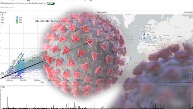 疫情新病毒揭秘，命名背后的科学与情感博弈