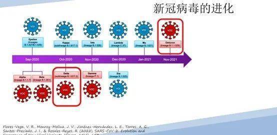新冠疫情病毒名称详解，应对挑战与深入了解