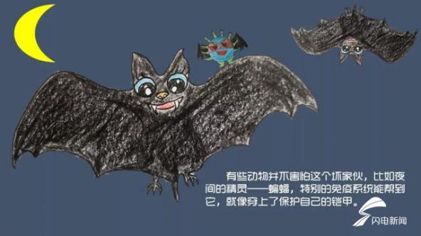 疫情病毒，名字背后的故事与视频记录的震撼力量