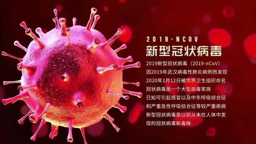 新冠病毒侵袭下的挑战与应对，2020年疫情回顾