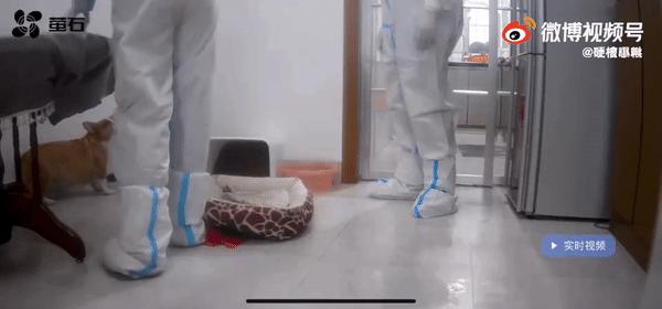 中国疫情终结之路探寻，何时结束？