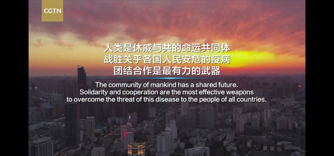 疫情期间的生活感悟