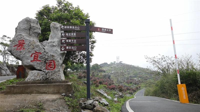 全球疫情开放背景下的国家与景区复苏之旅
