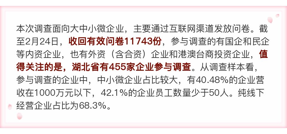 疫情三年对企业的影响深度解析，企业倒闭背后的故事与教训全揭秘