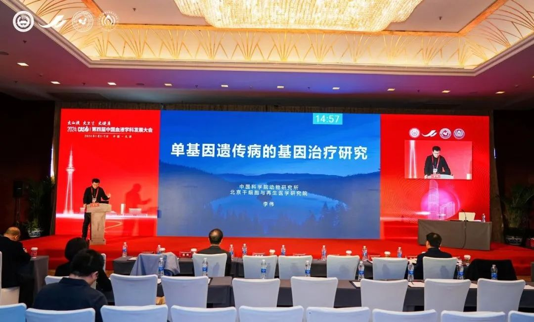 2024年疫情治疗新篇章，探索未来之路