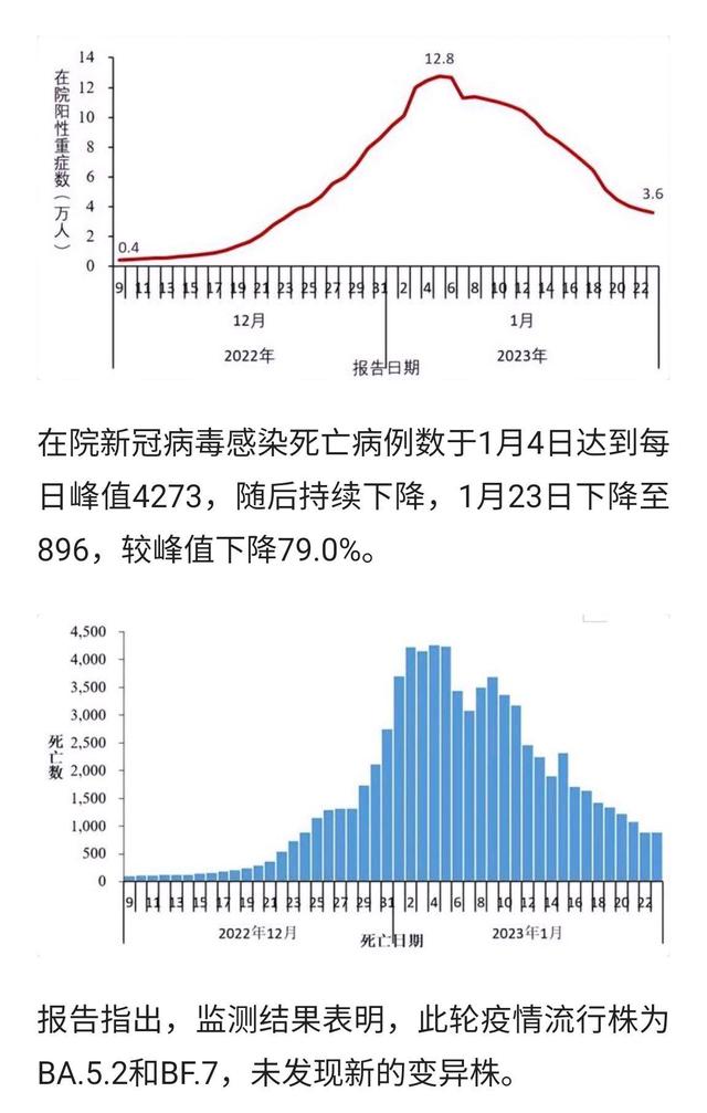 2024年中国疫情最新情况全面解读与分析