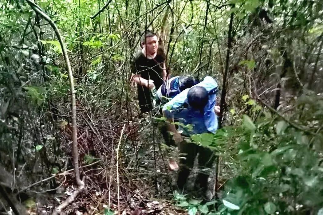 疫情之下，四川民众深山老林逃亡之路的艰辛历程
