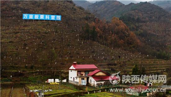 陕西丰源村现状探秘