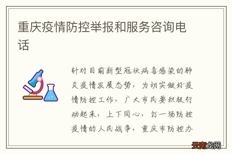 重庆疫情防控热线，守护健康的热线服务