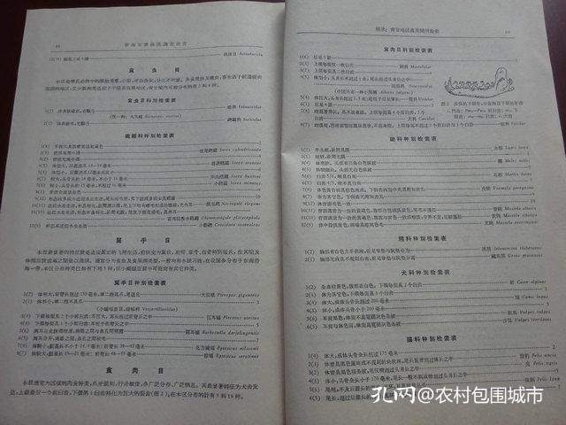 青海省与广州地区疫情报告综合解析