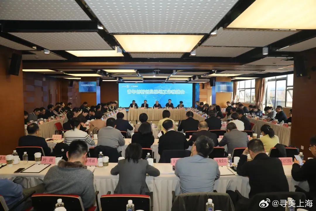 上海最新新闻动态，今日要闻概览