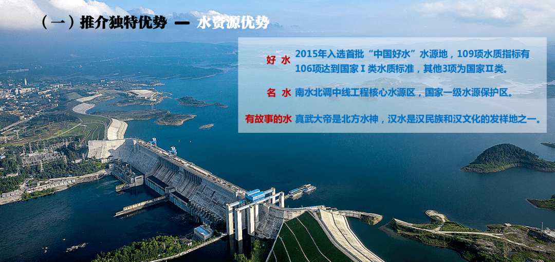 上海与澳门，深化交流合作的桥梁纽带连接未来