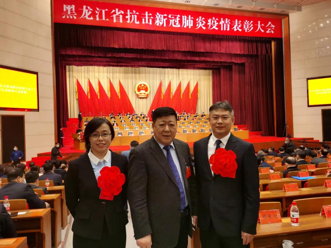 黑龙江省疫情最新消息全面解读与分析