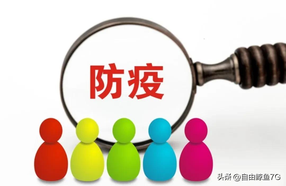 上海与天津疫情最新动态，挑战与希望交织