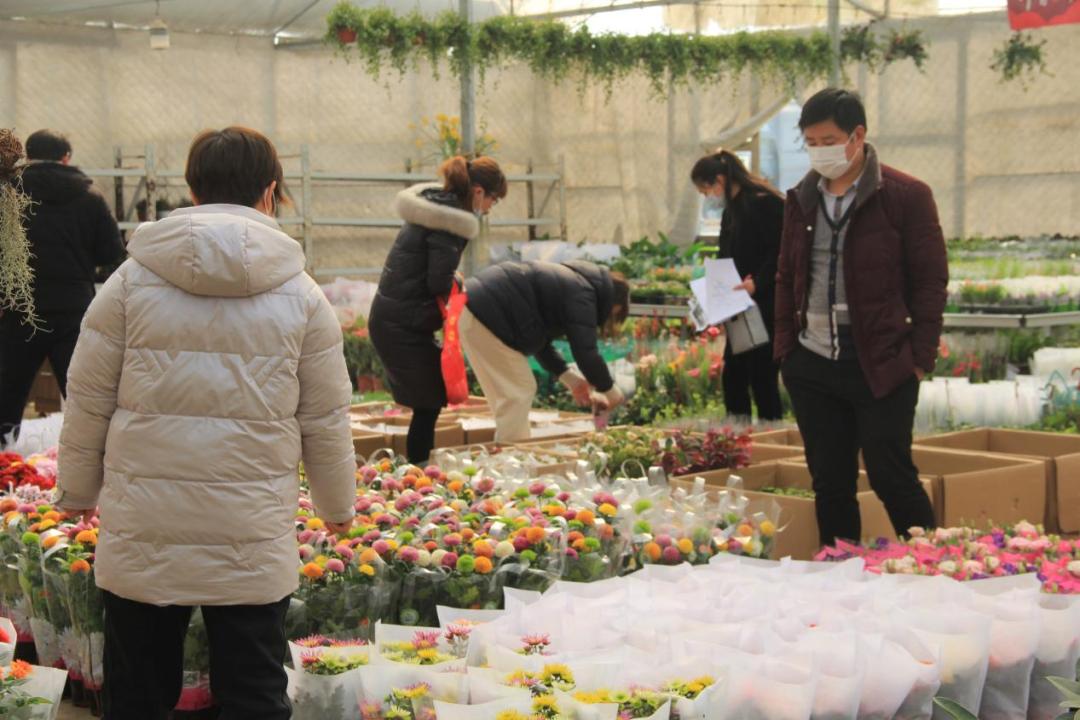 上海与广东疫情的挑战应对之道