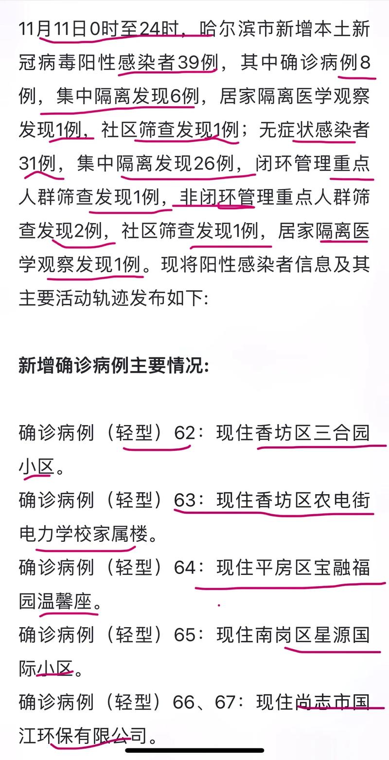 哈尔滨疫情最新动态及应对策略查询