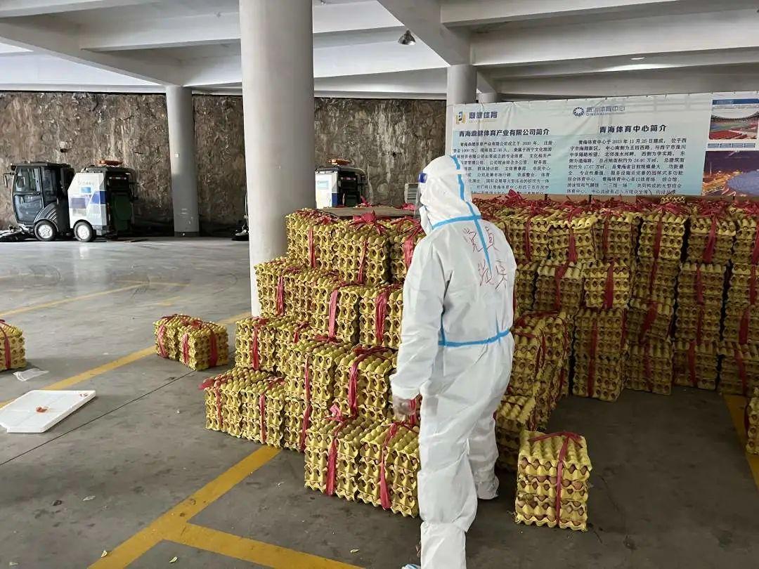 西宁疫情最新动态，城市坚守中希望之花绽放
