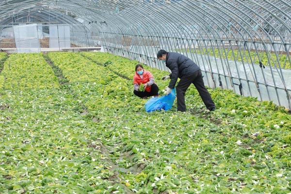 安徽省最新防疫公告，筑牢健康安全防线，共守美好家园