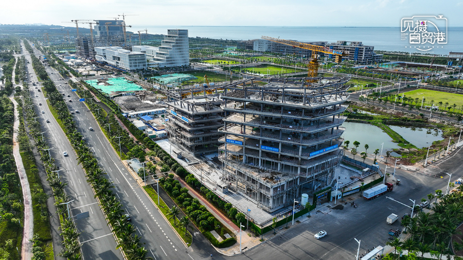 海口江东新区东平村的崛起与变迁，见证城市发展的力量与魅力