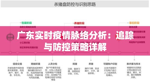 广东省疫情控制策略与实践探索