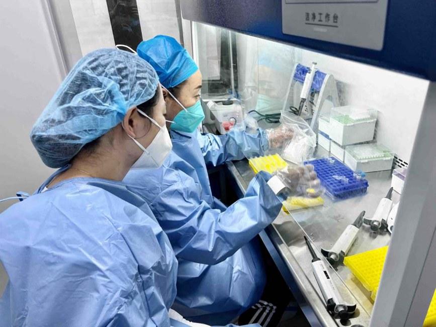 广东省疫情防控最新进展与成都动态更新