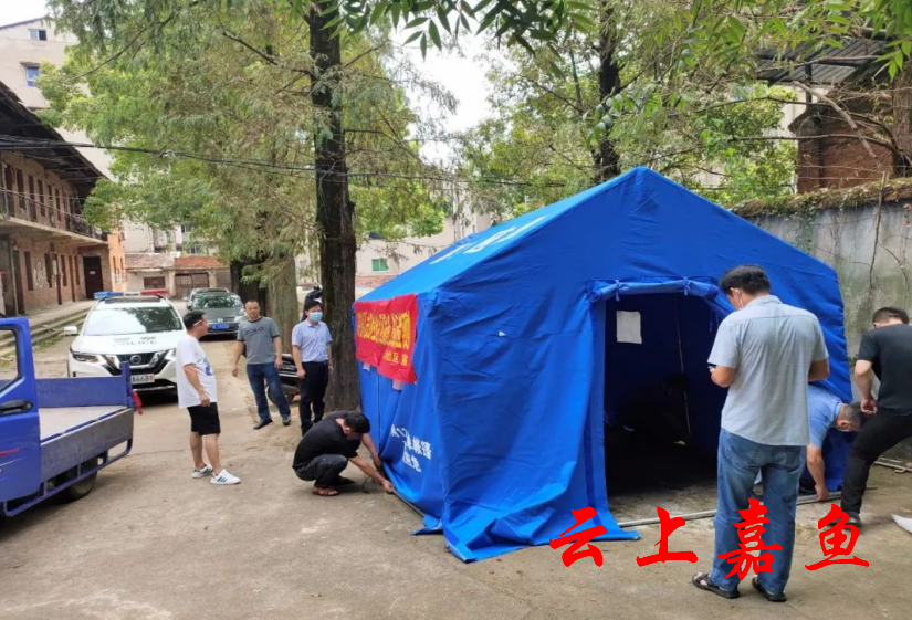 黑龙江省疫情最新轨迹追踪，全面防控，筑牢家园安全防线