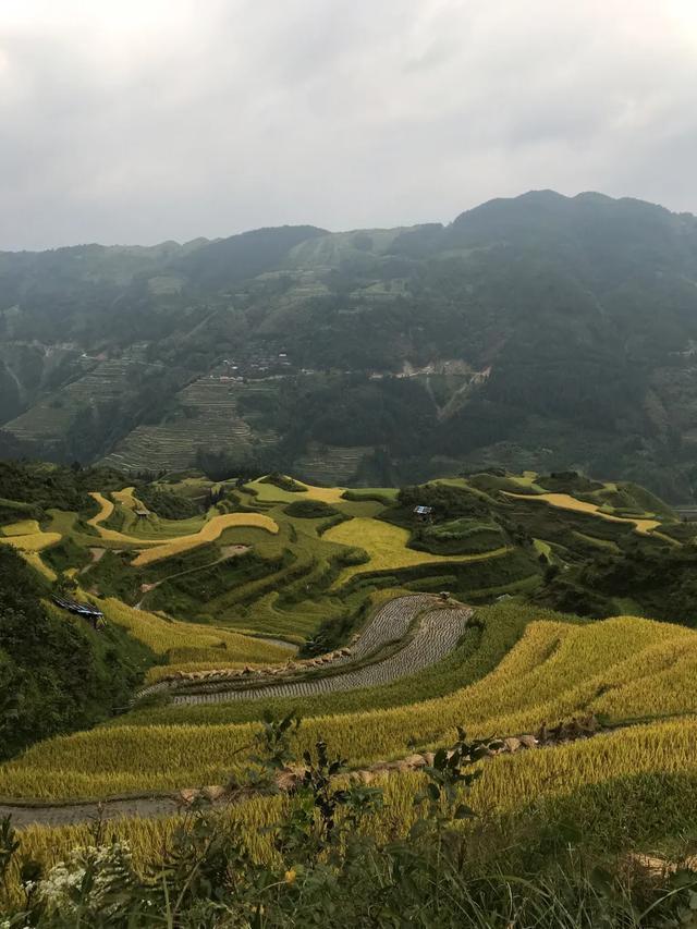贵州疫情防控政策实施对广州的最新影响分析
