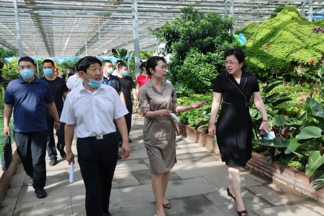 长春疫情官方应对与防控措施详解