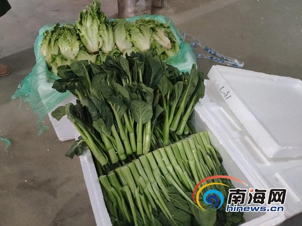 海口疫情防控最新进展报告