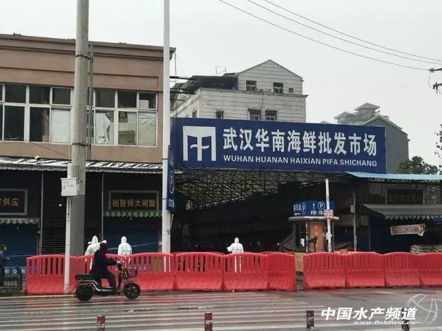 广州与武汉，防疫的坚固堡垒