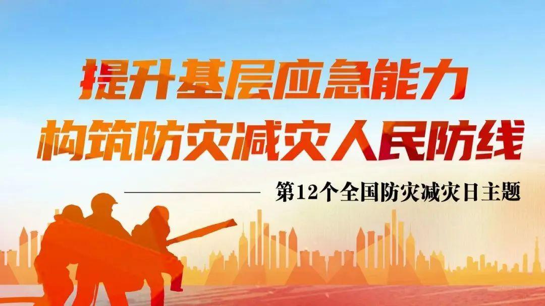 海口疫情应对策略，共筑防线，迎战挑战