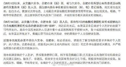 合肥新增病例引发关注，城市应对策略与公众关注焦点