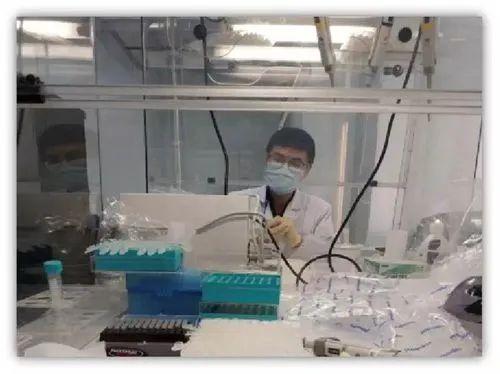 上海新冠病毒疫情，挑战与应对策略