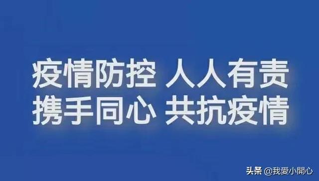 上海今日疫情动态分析，各区疫情新增情况解读