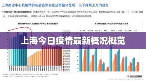 上海今日新冠肺炎疫情概况