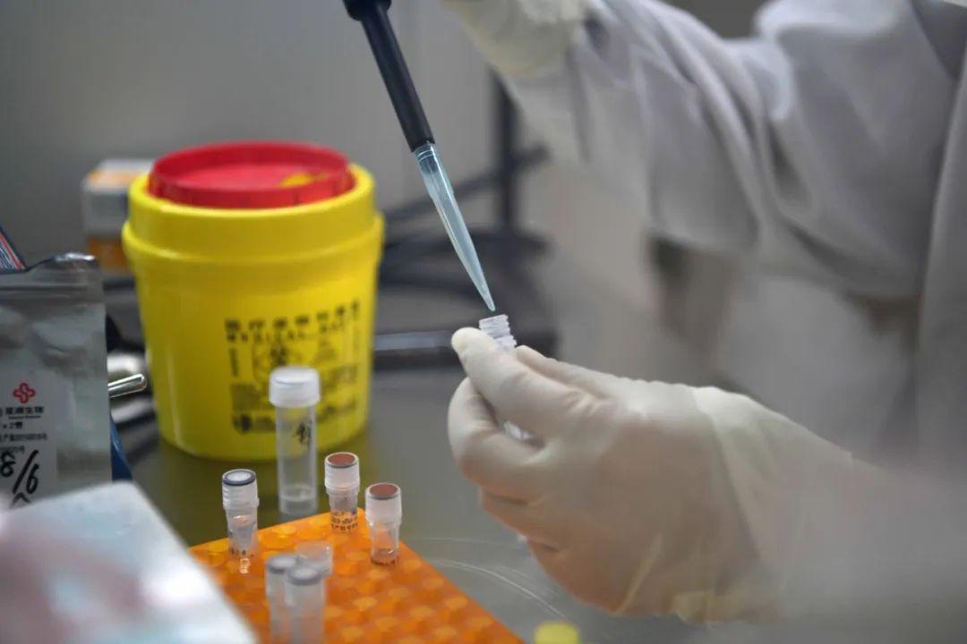 澳门昨日新增病例深度解析