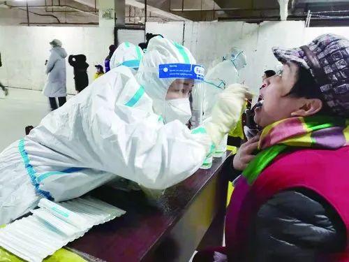 河北石家庄疫情出现时间及其影响概述