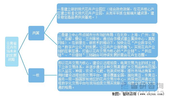 云南省疫情现状分析与应对策略