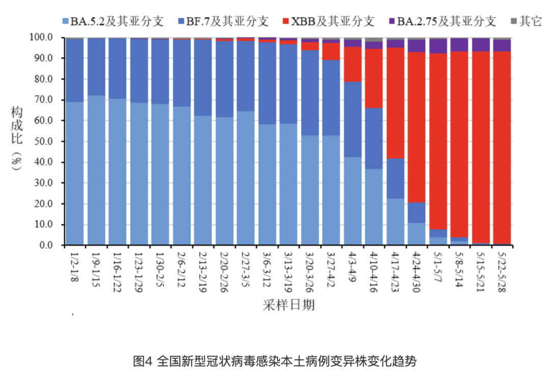 云南省新冠疫情数据深度分析报告，最新数据解析与趋势预测