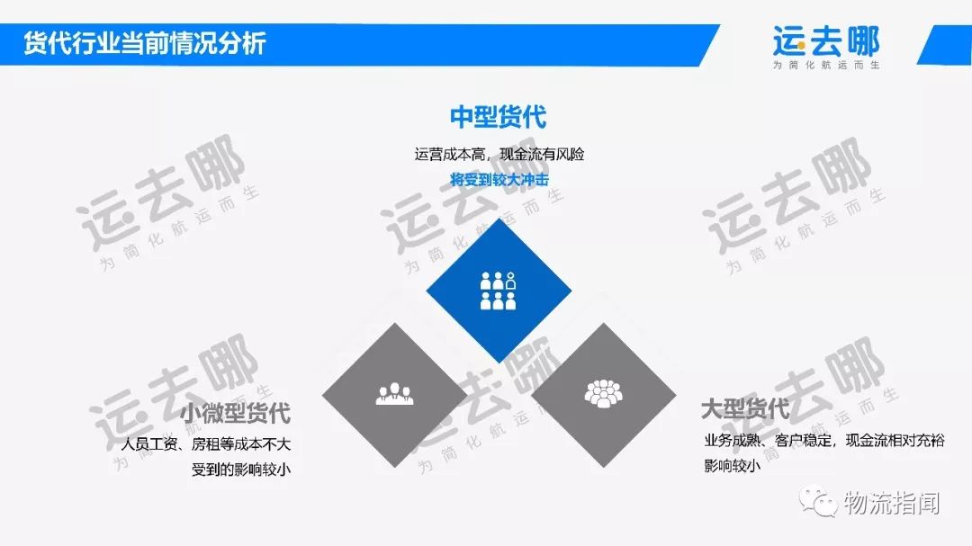 河北省疫情报告情况深度解析