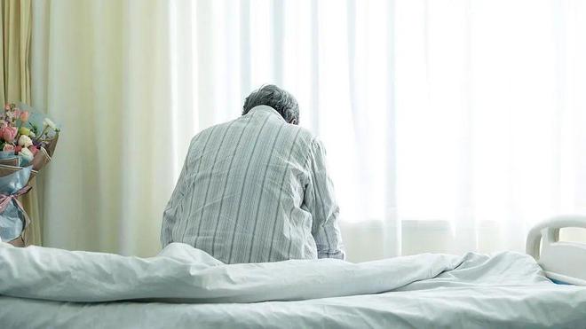 河北与吉林疫情最新动态分析，通知公告与最新动态对比解读
