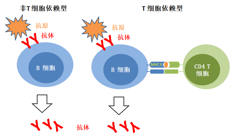 河北密切接触者与呼和浩特抗疫历程的紧密纽带