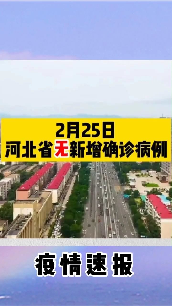 河北疫情报告与哈尔滨动态分析，最新情况解读
